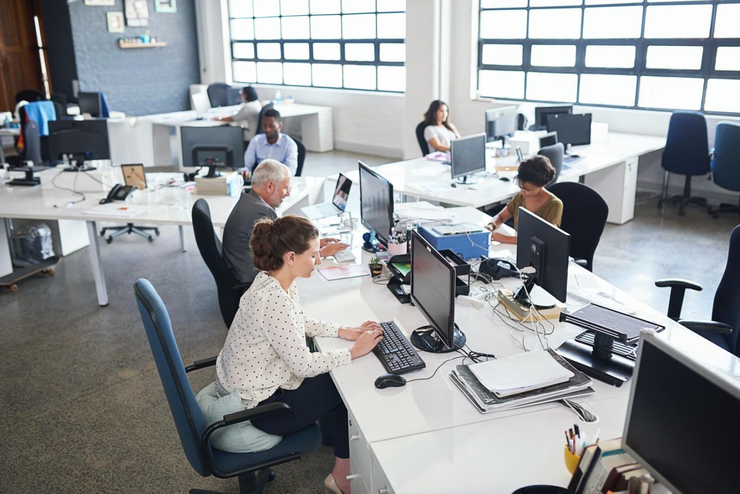 Financial analysis workspace showing practical learning environment